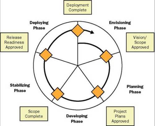 msf-governance-model